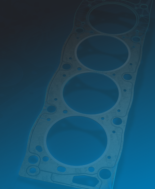 Products Victor Reinz