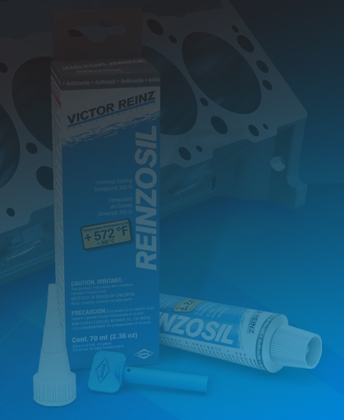 Products Victor Reinz